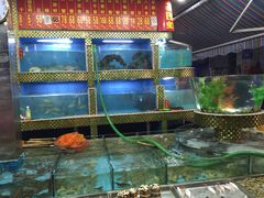 湛江渔港(乐园路店)-湛江渔港·大排档(乐园路总店)
