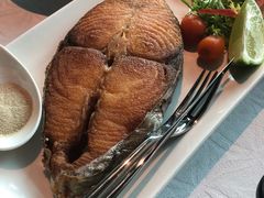 -欣叶食艺轩