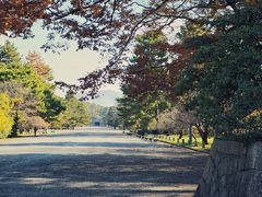 -京都御所