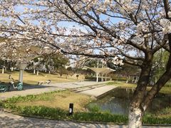 -江南大学(蠡湖校区)