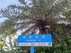 -青澳湾北回归线广场