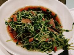 -丰收日(五角场店)