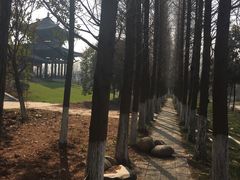 -祥源·阜阳生态乐园