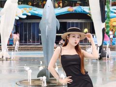 -海合安成都极地海洋公园