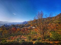 -塔川景区