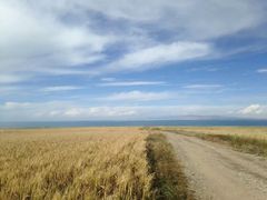 -青海湖国家重点风景名胜区