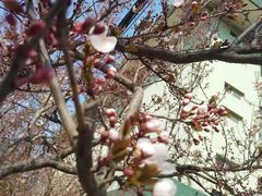 -山东师范大学(千佛山校区)