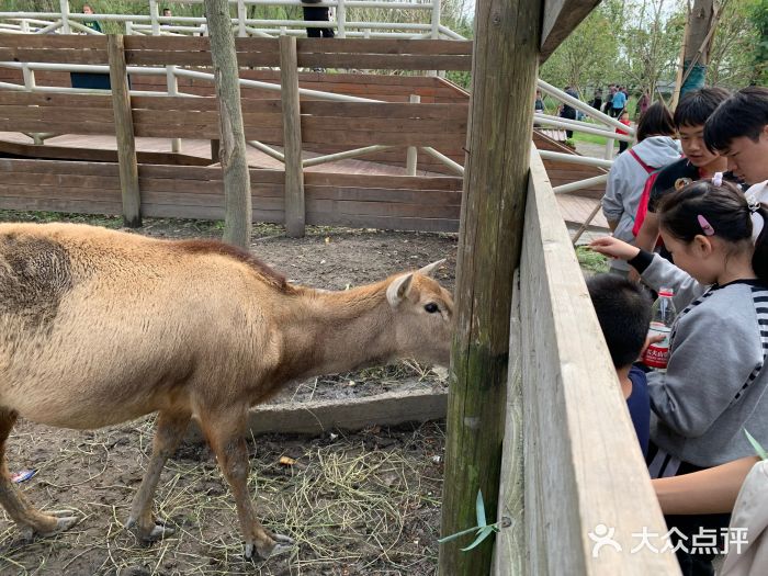 溱湖国家湿地公园图片