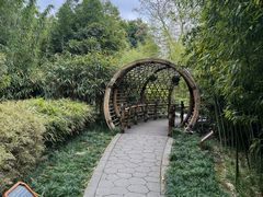 -望江楼公园