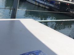 -悉尼鱼市场