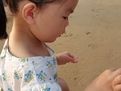 -刘家湾赶海园