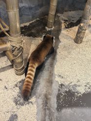 -Zoolung Zoolung动物主题公园(海信广场店)