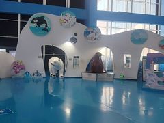 -泉城欧乐堡海洋极地世界