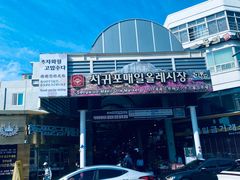 -西归浦每天偶来市场