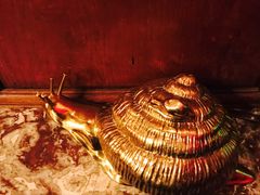 -金蜗牛