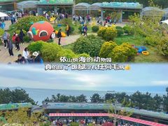 -西霞口神雕山野生动物世界