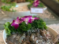 -博林圣海伦酒店-LA VILLA自助西餐厅(华侨城店)