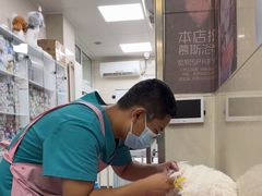 -北京观赏动物医院·24小时大型综合·猫专科·异宠专科