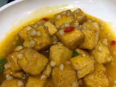 羊肚菌炒老豆腐-撒拉花儿·新疆菜·清真(太阳宫店)