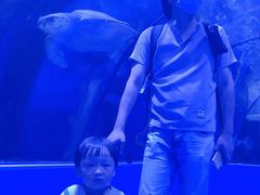 -台州海洋世界