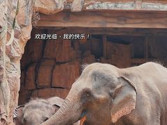 -长鹿旅游休博园