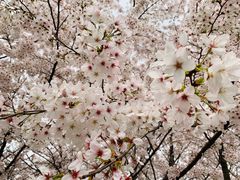 -闵行体育馆-停车场