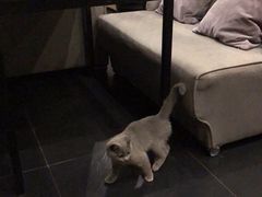 -吱咖啡西式简餐