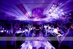 -上海浦东喜来登由由大酒店·宴会厅