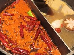-大龙燚·旷野鲜火锅(广州首店)