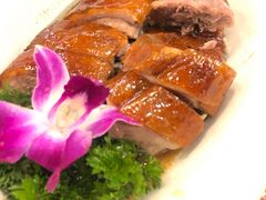 -肥韬茶餐厅(南山mini店)
