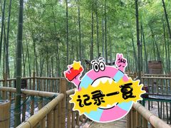 -陶祖圣境风景区