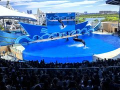 -上海海昌海洋公园