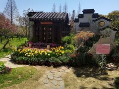 -苏州上方山国家森林公园