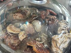 -大锅强·蒸海鲜青岛菜(吾悦广场店)