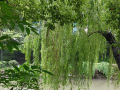 -浙江省杭州高级中学(贡院校区)