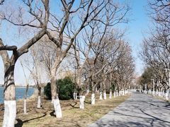 -石湖景区