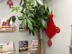 -摩睫+皮肤管理·科学美容中心