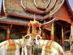 -西双版纳原始森林公园