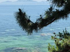 -养马岛旅游度假区
