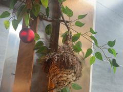 -福禧荟·海鲜自助