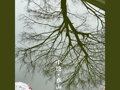 -乔园