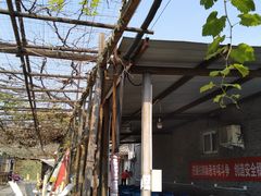 -亲兄弟真人CS团建拓展基地