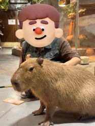 -Zoolung Zoolung动物主题公园(海信广场店)