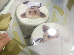 -珍妮曲奇聪明小熊(上环店)