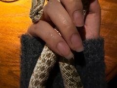 -抱暴龙爬宠·异宠·撸宠撸爬主题馆(大学路店)