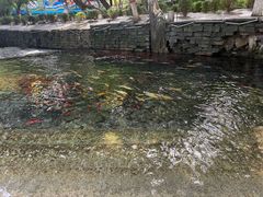 -水磨沟公园