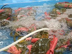 -吉莲利苑海鲜酒家(珠海拱北28年老字号店)