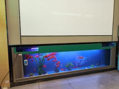 -蓉府金足印象(清江西路店)