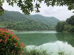-桃花岭景区