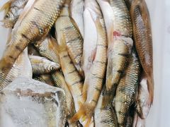 -畲乡一品鱼府土菜馆